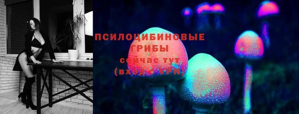 apvp Горняк