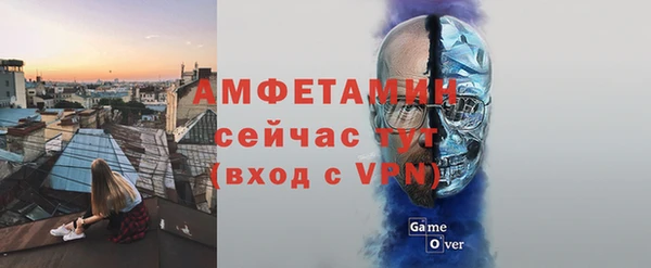 гидра Володарск