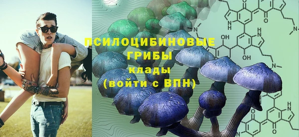 Альфа ПВП Горнозаводск