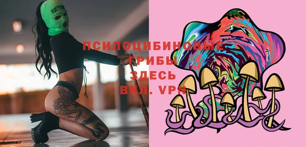 apvp Горняк