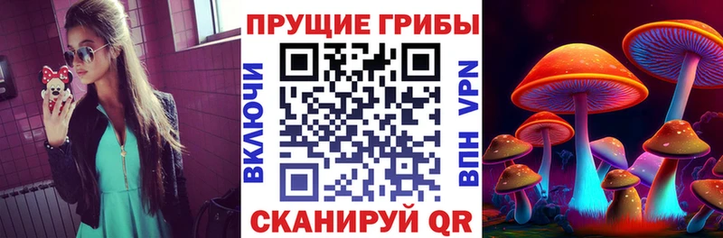 где купить   Заволжск  Псилоцибиновые грибы прущие грибы 